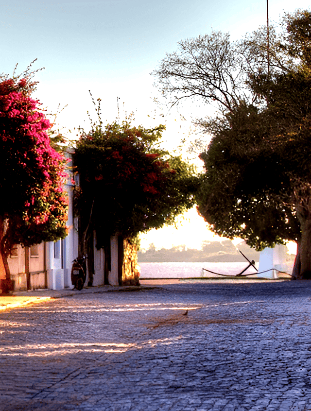 Paisaje de Colonia del Sacramento - Fondo de Avisos Colonia
